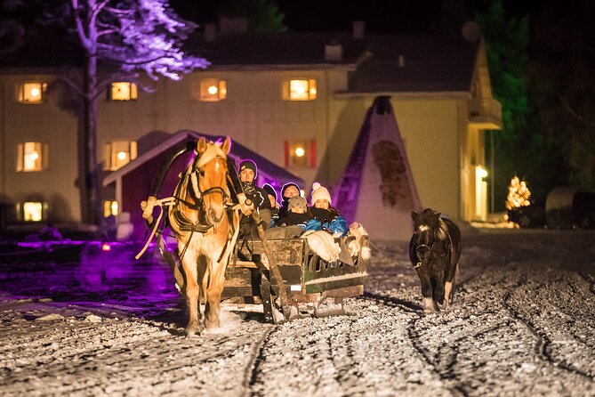 Horse Sleigh Ride Under The Night Sky in Apukka Resort, Rovaniemi - Timing, transport, and the return to Apukka