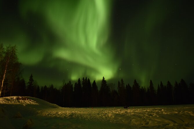 Horse Sleigh Ride Under The Night Sky in Apukka Resort, Rovaniemi - Meeting the horses at Apukka Resort
