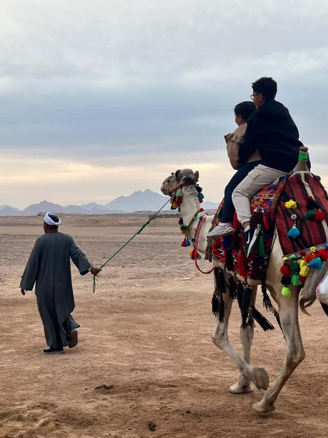 Hurghada: BADU Camp Camel Ride, Dinner, & Stargazing - From Hurghada to the desert at sunset