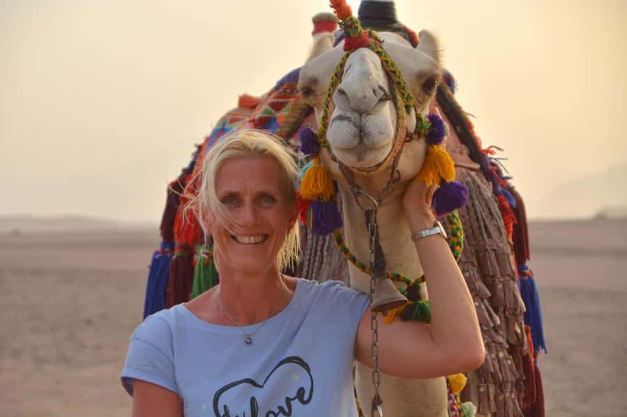 Hurghada: BADU Camp Camel Ride, Dinner, & Stargazing - Arabic coffee, dates, and the camp welcome