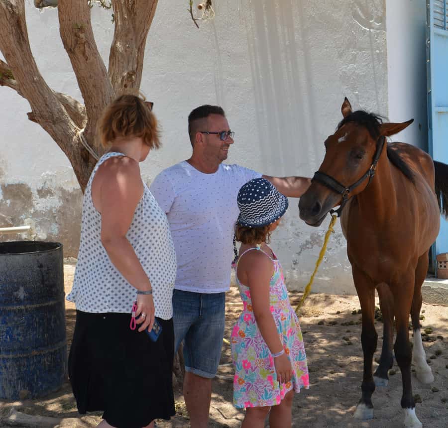 Hurghada: BADU Camp Camel Ride, Dinner, & Stargazing - Dinner with grilled meats and vegetarian choices