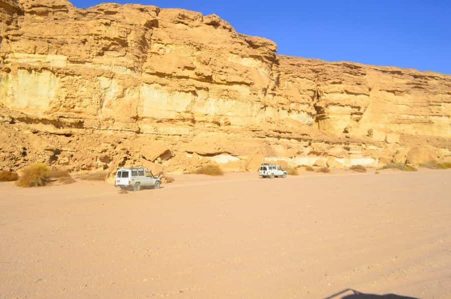 Hurghada: Hiking , dinner & stargazing - Key points at a glance
