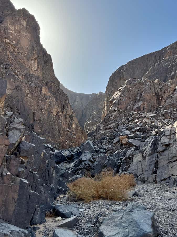 Hurghada: Hiking , dinner & stargazing - What the guides add to the outing