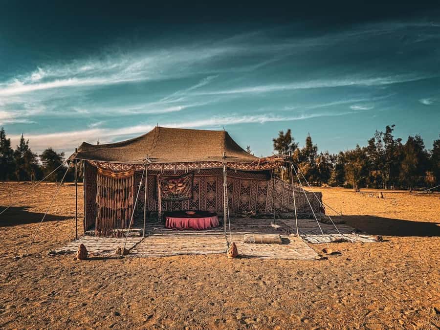 Hurghada: Hiking , dinner & stargazing - Is $68 a fair price?