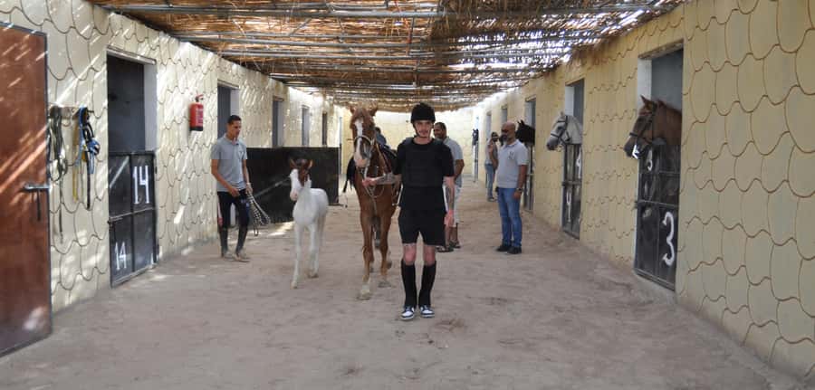 Hurghada: Horse Ride, BBQ Dinner, and Stargazing - How the price compares with the time and inclusions