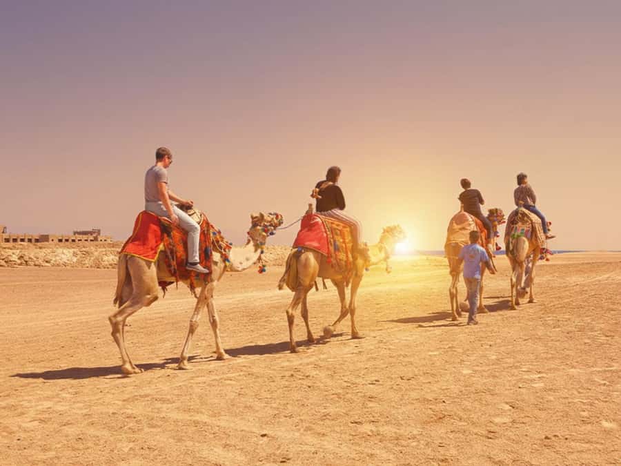 Hurghada: Sea & Desert Camel Ride w/Dinner, Show, Stargazing - Key points to know before you book