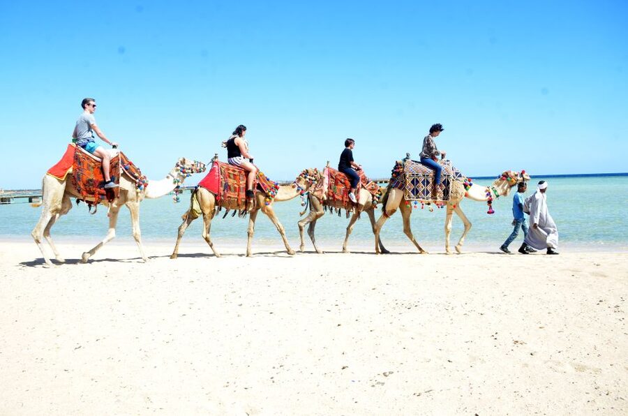Hurghada: Sea & Desert Camel Ride w/Dinner, Show, Stargazing - Is $26 good value?