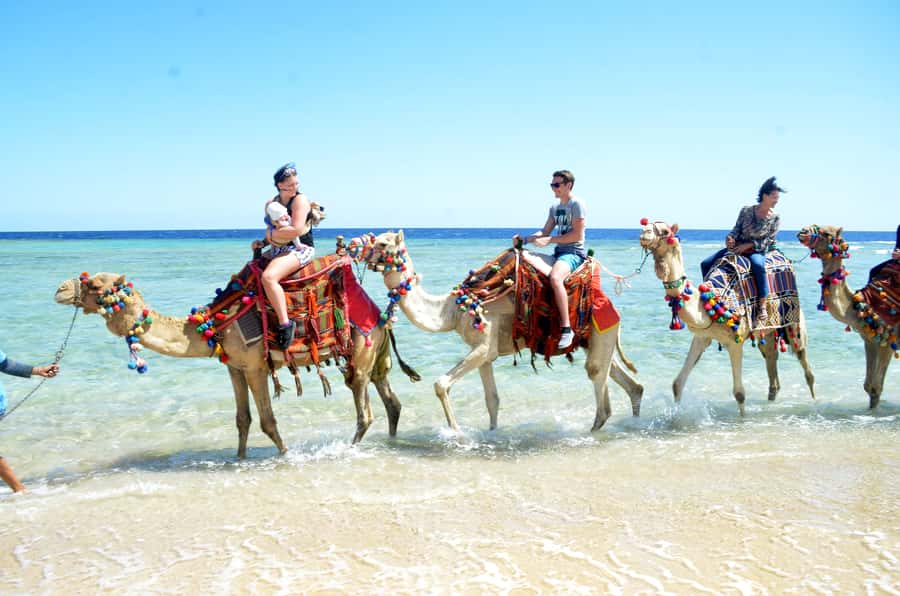 Hurghada: Sea & Desert Camel Ride w/Dinner, Show, Stargazing - Two hours across sand, mountains, and sea
