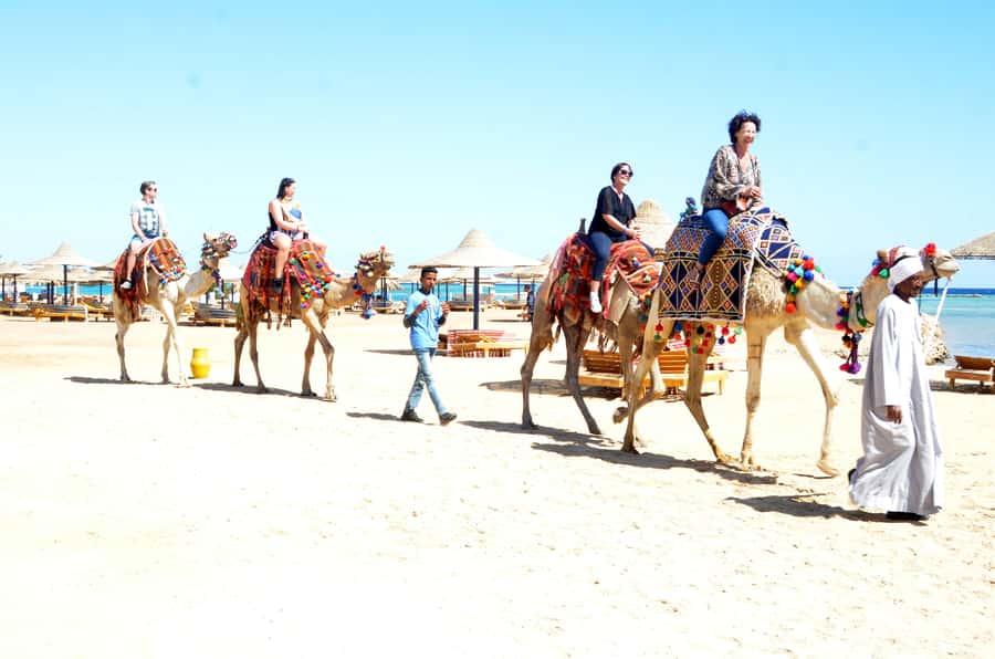 Hurghada: Sea & Desert Camel Ride w/Dinner, Show, Stargazing - Guides who make the difference
