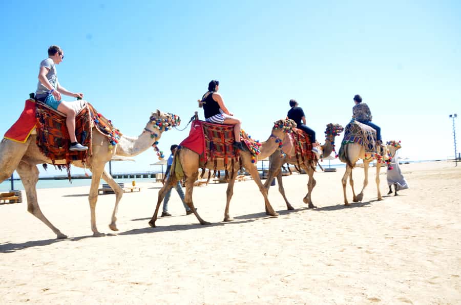 Hurghada: Sea & Desert Camel Ride w/Dinner, Show, Stargazing - What to wear and carry