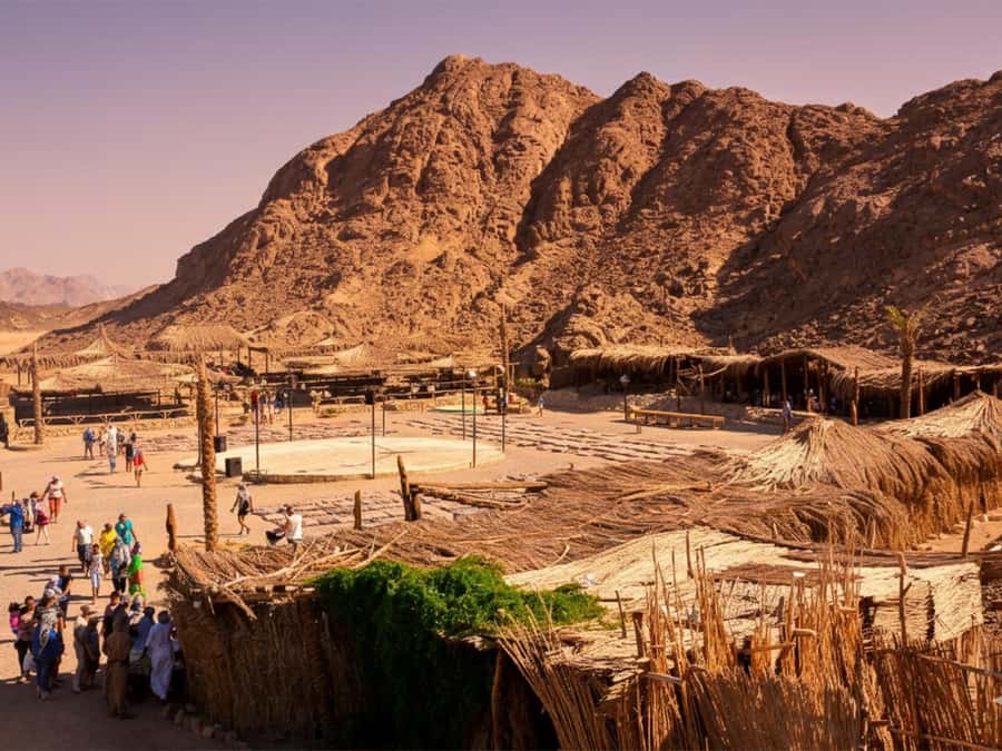 Hurghada: Sea & Desert Camel Ride w/Dinner, Show, Stargazing - From hotel lobby to the camel base