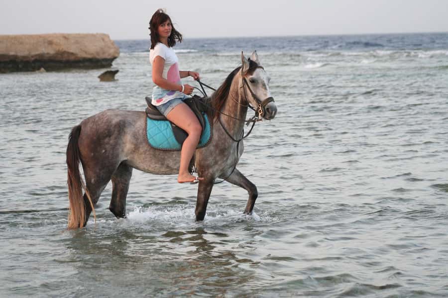Hurghada: Sea & Desert Horse Tour, Stargazing, Dinner & Show - Key points before you book