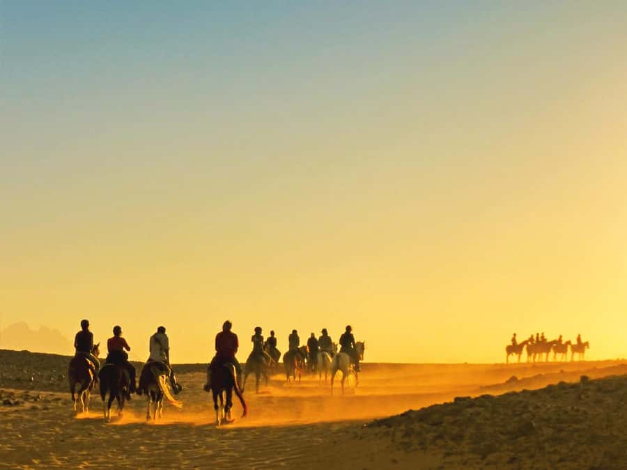 Hurghada: Sea & Desert Horse Tour, Stargazing, Dinner & Show - From Hurghada hotels to the desert riding base