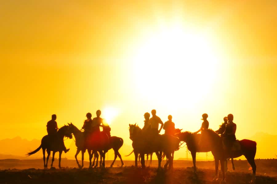 Hurghada: Sea & Desert Horse Tour, Stargazing, Dinner & Show - Dinner, dancing, and the limits of stargazing