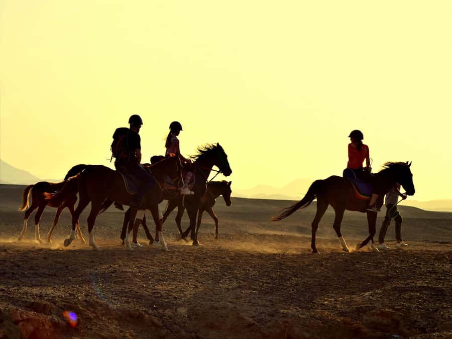 Hurghada: Sea & Desert Horse Tour, Stargazing, Dinner & Show - What the $20 price really gets you