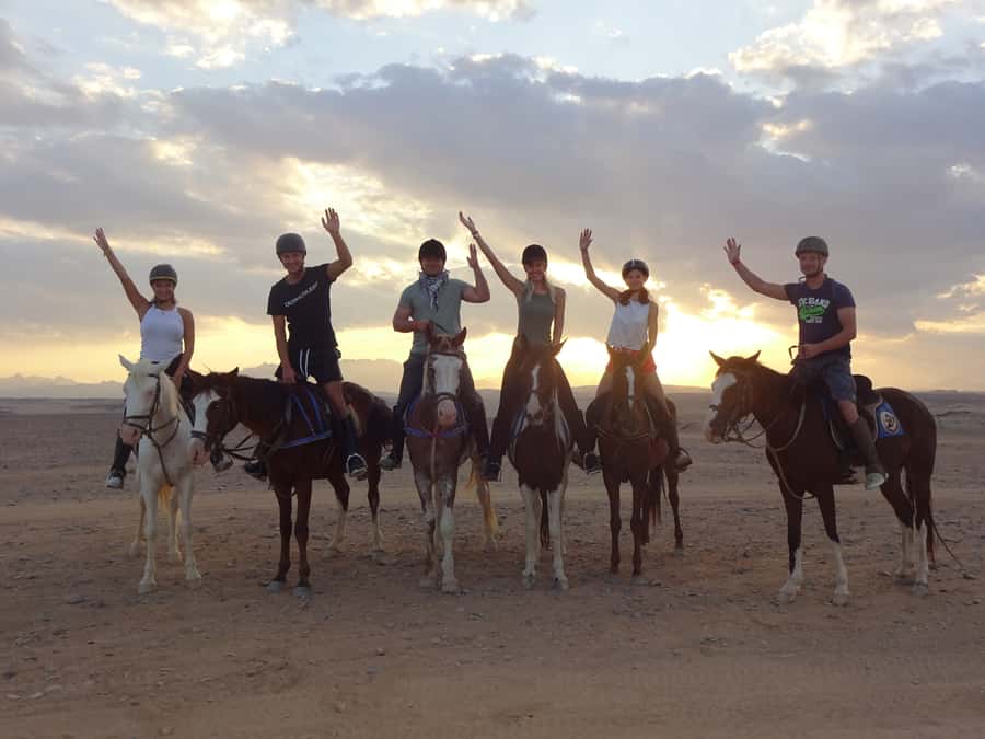 Hurghada: Sea & Desert Horse Tour, Stargazing, Dinner & Show - Safety briefing, horse selection, and riding ability