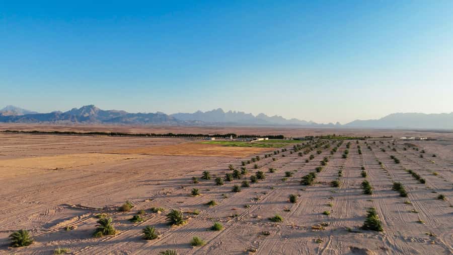 Hurghada: Star Stargazing Desert Adventure by Jeep & Dinner - Guides make a large difference
