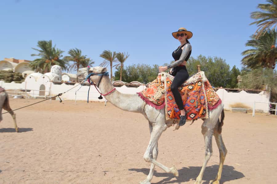 Hurghada: Sunset Quad Bike, Camel w/ Opt Stargazing and BBQ - Who should book this desert adventure?