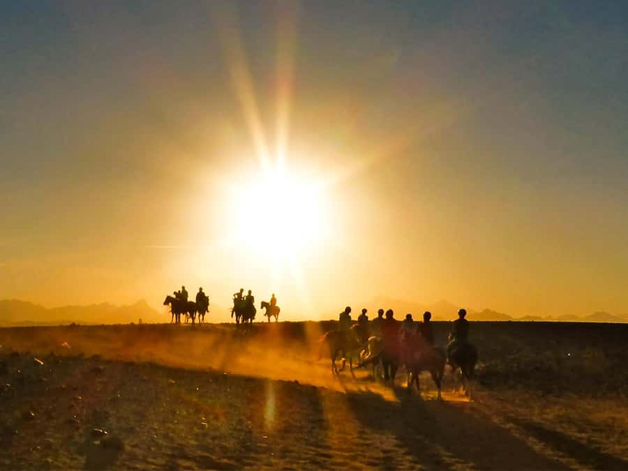 Hurghada: Sunset Sea, Desert Horse W Opt, Dinner, Stargazing - Key points to know before booking