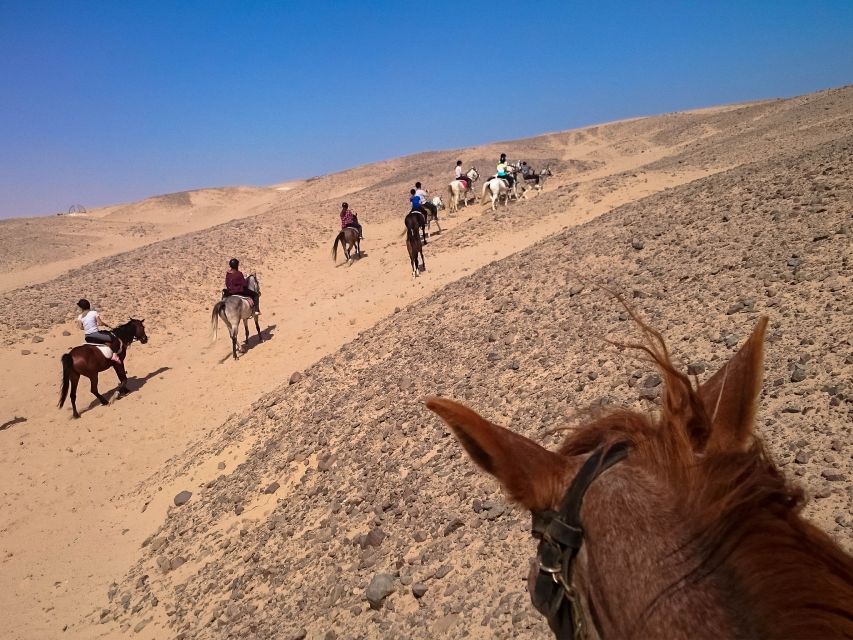 Hurghada: Sunset Sea, Desert Horse W Opt, Dinner, Stargazing - Who should book this Hurghada horse ride?