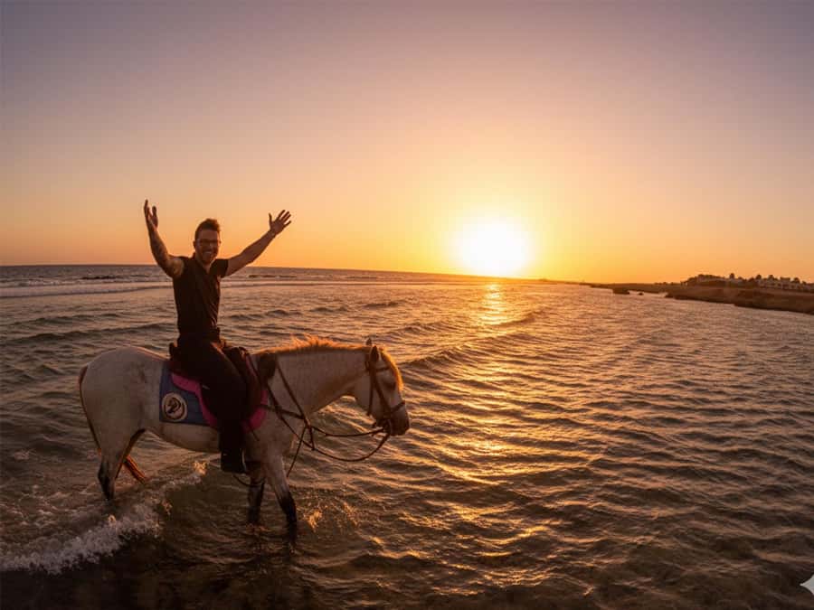 Hurghada: Sunset Sea, Desert Horse W Opt, Dinner, Stargazing - Why the sunset option is the best fit for most people
