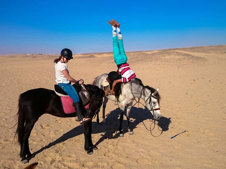 Hurghada: Sunset Sea, Desert Horse W Opt, Dinner, Stargazing - Sunrise, breakfast, and the quieter alternative