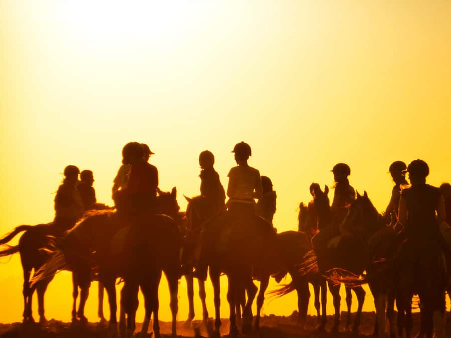 Hurghada: Sunset Sea, Desert Horse W Opt, Dinner, Stargazing - Dinner, dancing, and stargazing after the ride