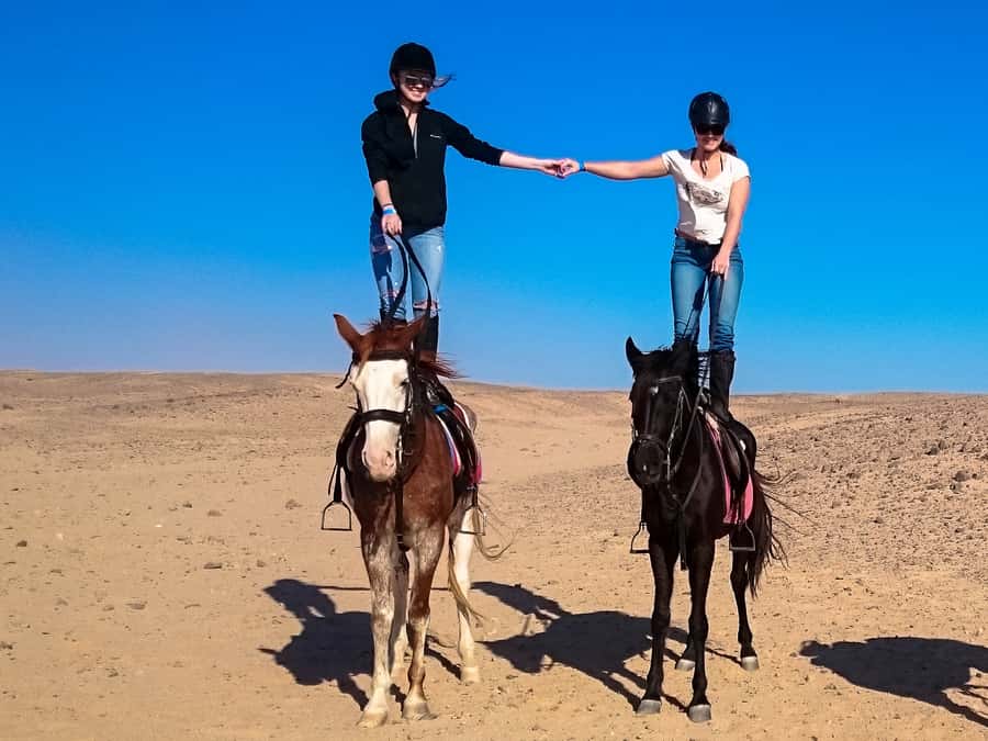 Hurghada: Sunset Sea, Desert Horse W Opt, Dinner, Stargazing - The guides make a real difference for new riders