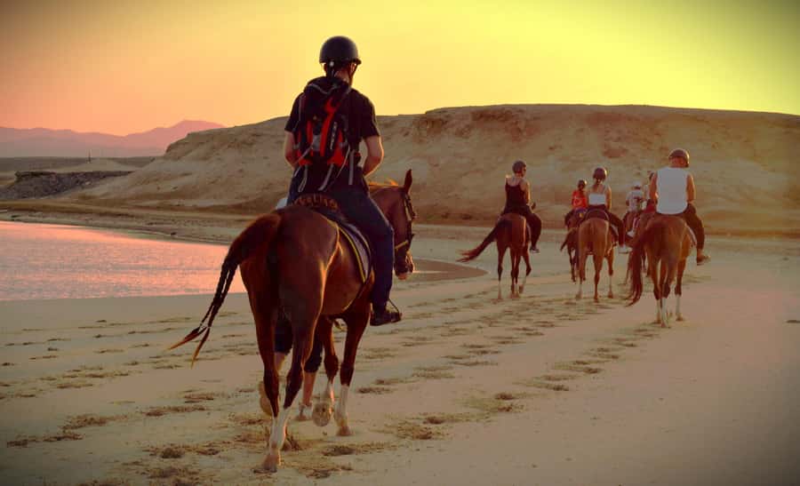 Hurghada: Sunset Sea, Desert Horse W Opt, Dinner, Stargazing - Transport, timing, and what to pack
