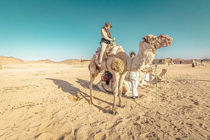 Jeep Cruise Stargazing with Horse Riding & BBQ Dinner - Hurghada - BBQ Dinner and Traditional Tea