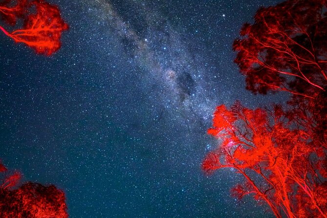 Jervis Bay Beach Stargazing Tour with our Astronomer - Telescope targets change with the season