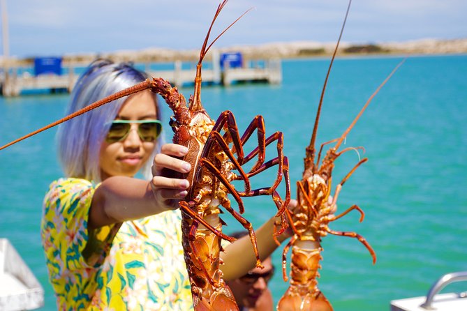 Kalbarri Stargazing Tour - A personal guide makes a difference