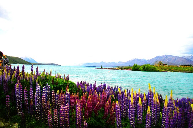 Lake Tekapo Stargazing & Mount Cook 2-Day Tour from Christchurch - What the small group adds