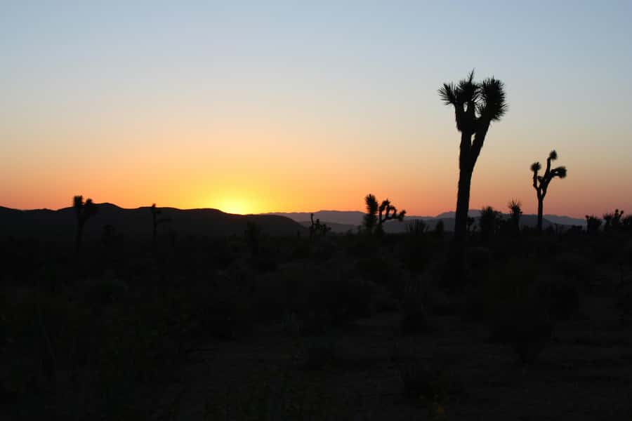 Las Vegas: Death Valley Sunset and Stargazing Tour - Badwater Basin and the lowest point in North America