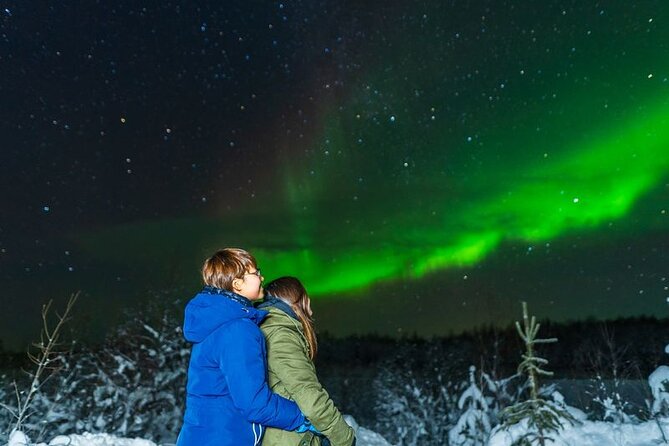 Levi: Aurora Borealis Tour and Stargazing Experience - The cost, the group, and the real value