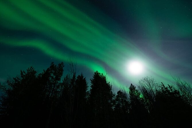 Levi: Aurora Borealis Tour and Stargazing Experience - Who will enjoy this Levi aurora outing