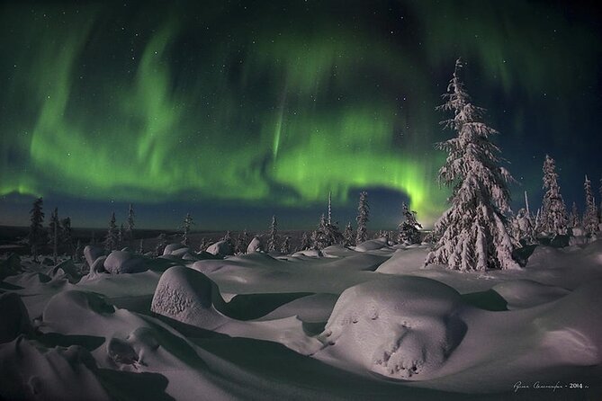 Levi: Aurora Borealis Tour and Stargazing Experience - Timing, cancellation, and practical details