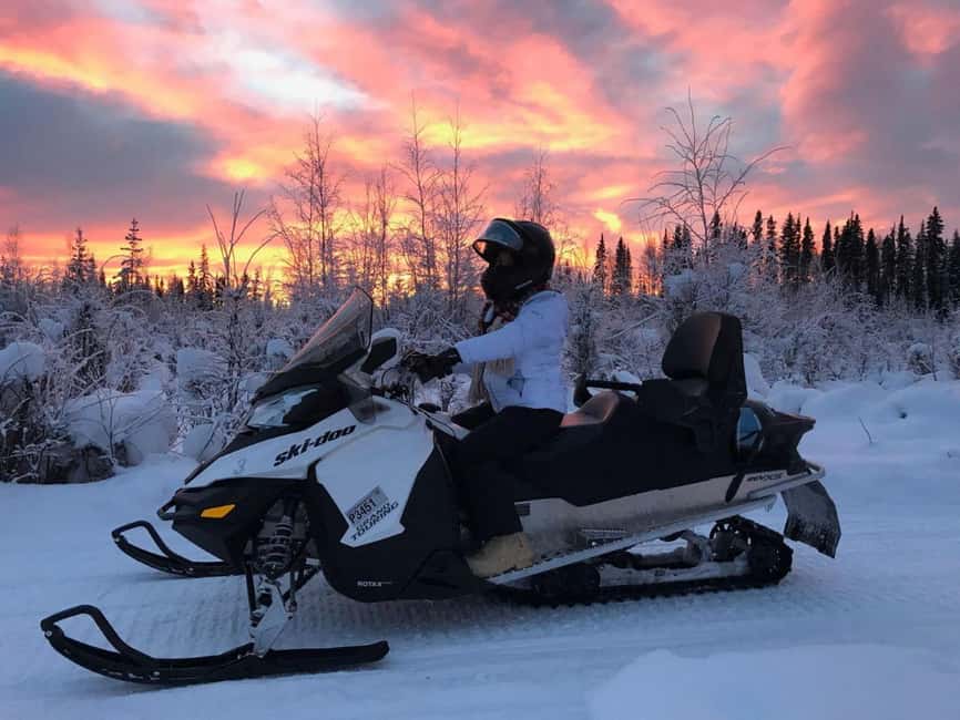 Levi: Twilight Snowmobile Safari & Stargazing Experience - How the price compares with the experience
