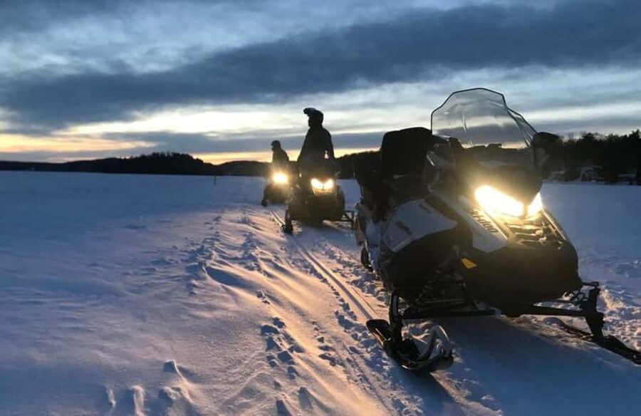 Levi: Twilight Snowmobile Safari & Stargazing Experience - Who will enjoy this most