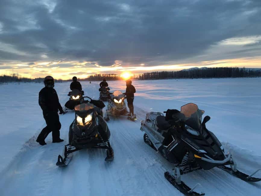 Levi: Twilight Snowmobile Safari & Stargazing Experience - One hour through twilight forests and frozen lake country