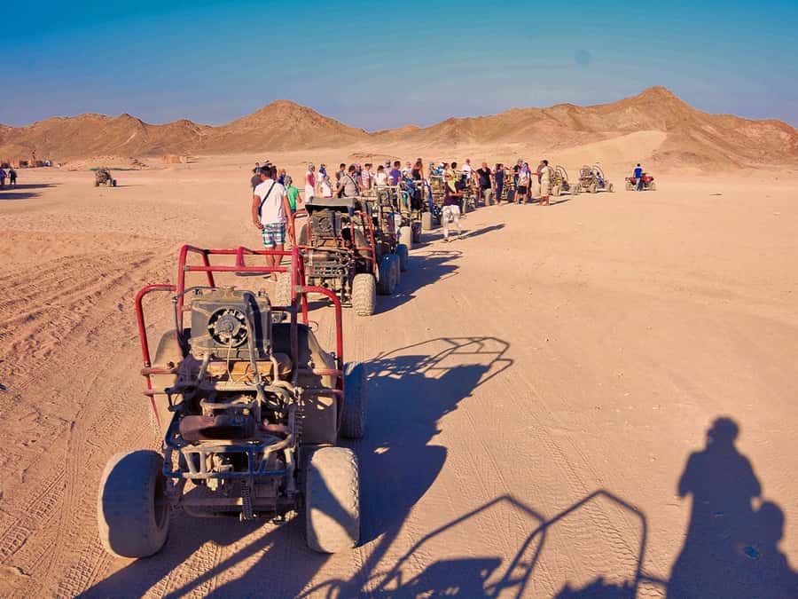 Makadi Bay: ATV, Sea View, Camel, Stargazing, Dinner & Show - Quick points before you book