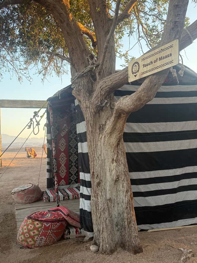 Makadi Bay: BADU Luxury Bedouin Dinner Experience & Stargaze - Key Points