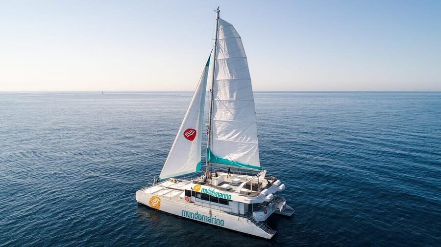 Malaga: A Sea of Stars Nighttime Stargazing Catamaran Tour - How to get the most from the 90 minutes