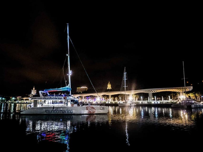 Malaga: A Sea of Stars Nighttime Stargazing Catamaran Tour - Looking up from the open water