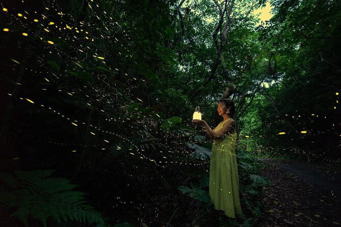 【March-June】Private Firefly Viewing & Stargazing tour - Key points to know before booking