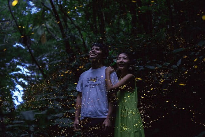 【March-June】Private Firefly Viewing & Stargazing tour - Timing matters more than comfort