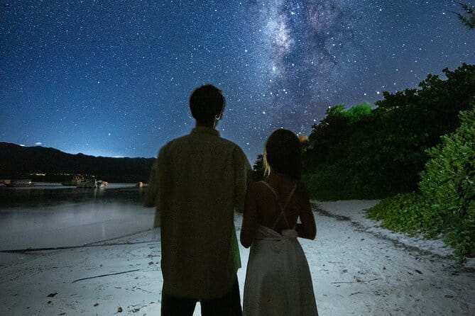 【March-June】Private Firefly Viewing & Stargazing tour - What the night may feel like