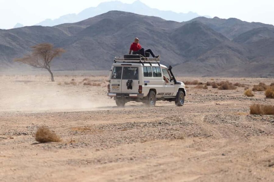 Marsa Alam Bedouin Nights: Jeep Safari, Dinner & Stargazing - Guides, languages, and the human side
