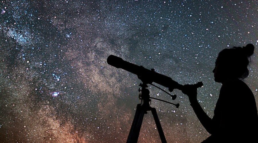 Marsa Alam Bedouin Nights: Jeep Safari, Dinner & Stargazing - Who will enjoy this evening most