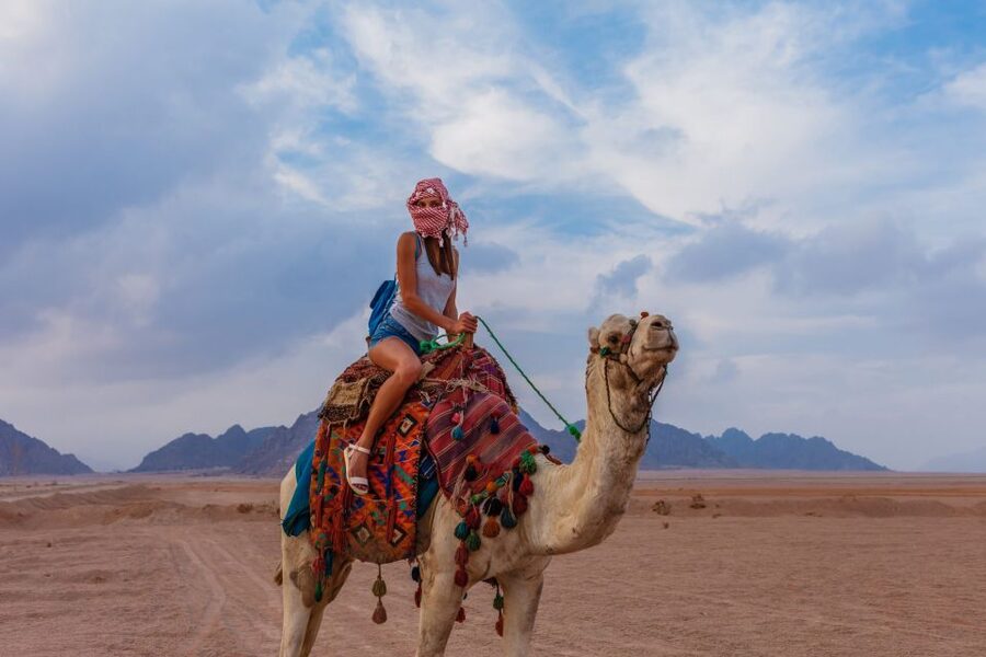Marsa Alam Bedouin Nights: Jeep Safari, Dinner & Stargazing - Should you book Marsa Alam Bedouin Nights?